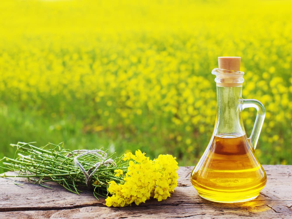 Natural rapeseed oil